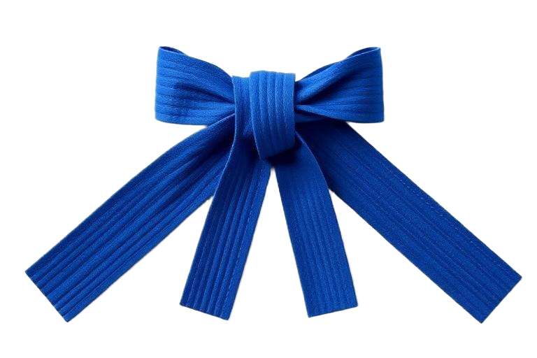 The Importance of Structure in Children’s Development: How Sidekicks Karate Leads the Way