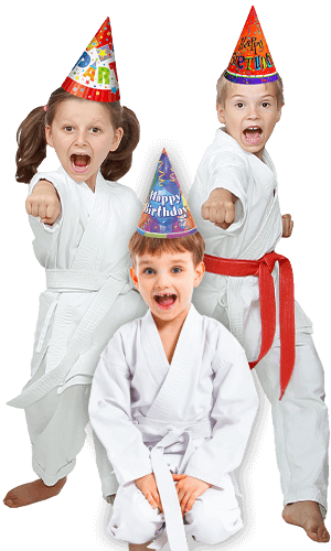 Side Kicks Party Side Kicks Karate Kids Party
